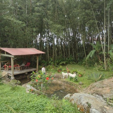 Finca Exclusividad Familiar O Grupo De Amigos Capacidad Hasta 12 Personas Calles En Placa Huella, Caminata Ecologica Alban  エクステリア 写真