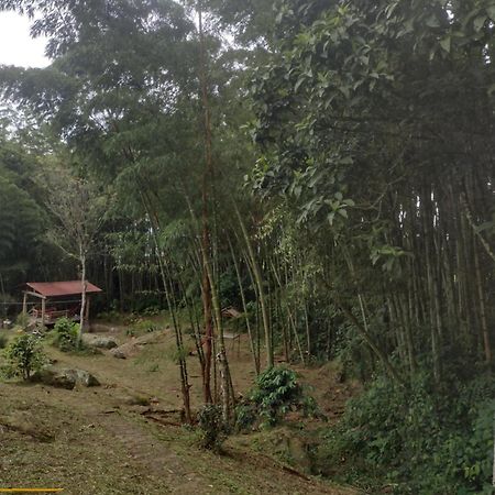 Finca Exclusividad Familiar O Grupo De Amigos Capacidad Hasta 12 Personas Calles En Placa Huella, Caminata Ecologica Alban  エクステリア 写真