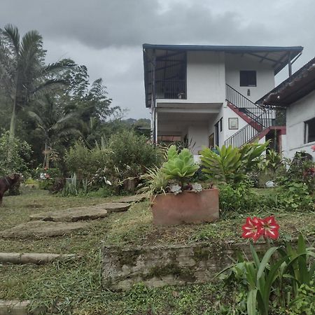 Finca Exclusividad Familiar O Grupo De Amigos Capacidad Hasta 12 Personas Calles En Placa Huella, Caminata Ecologica Alban  エクステリア 写真