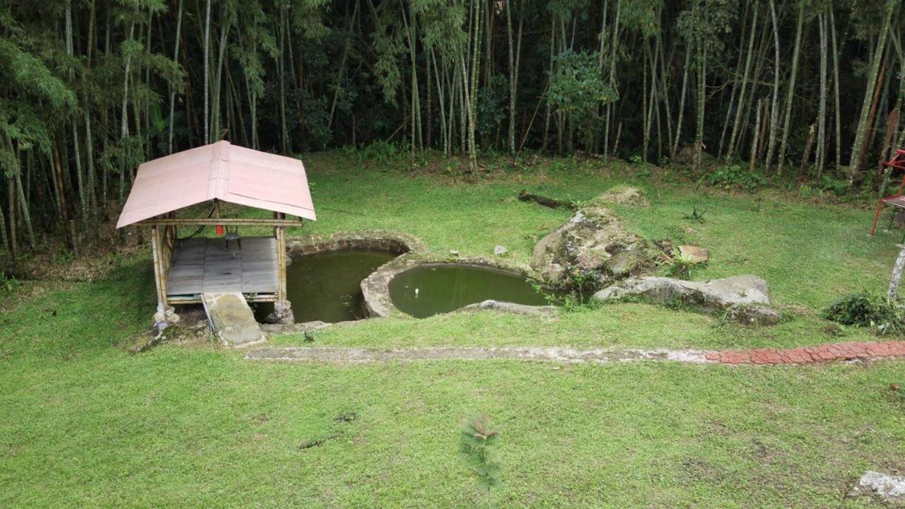 Finca Exclusividad Familiar O Grupo De Amigos Capacidad Hasta 12 Personas Calles En Placa Huella, Caminata Ecologica Alban  エクステリア 写真
