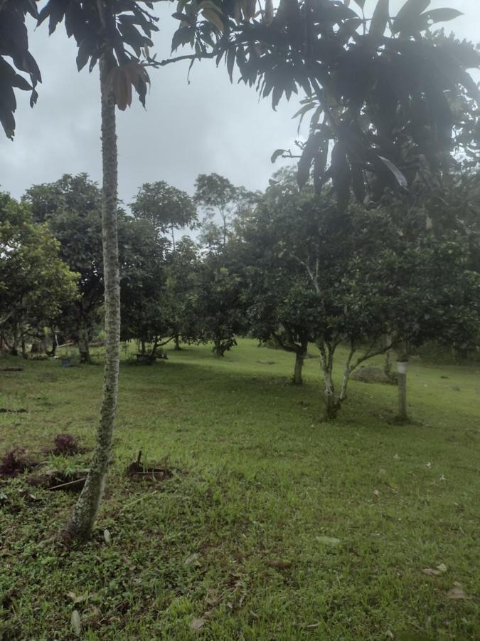 Finca Exclusividad Familiar O Grupo De Amigos Capacidad Hasta 12 Personas Calles En Placa Huella, Caminata Ecologica Alban  エクステリア 写真