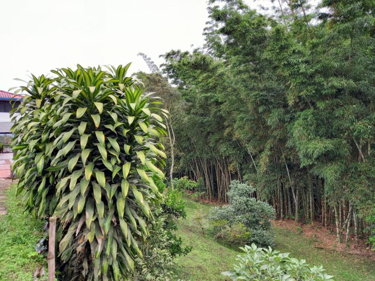 Finca Exclusividad Familiar O Grupo De Amigos Capacidad Hasta 12 Personas Calles En Placa Huella, Caminata Ecologica Alban  エクステリア 写真