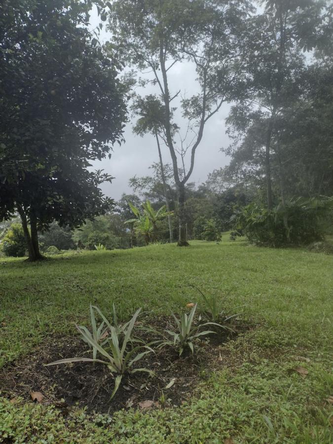 Finca Exclusividad Familiar O Grupo De Amigos Capacidad Hasta 12 Personas Calles En Placa Huella, Caminata Ecologica Alban  エクステリア 写真