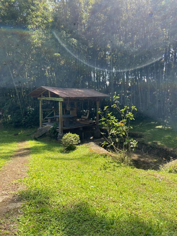 Finca Exclusividad Familiar O Grupo De Amigos Capacidad Hasta 12 Personas Calles En Placa Huella, Caminata Ecologica Alban  エクステリア 写真