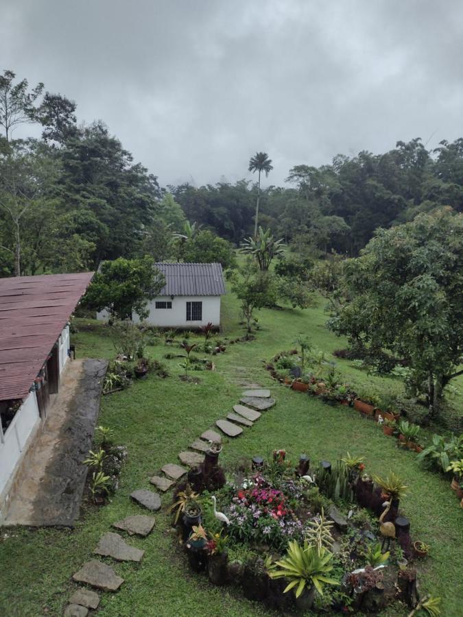 Finca Exclusividad Familiar O Grupo De Amigos Capacidad Hasta 12 Personas Calles En Placa Huella, Caminata Ecologica Alban  エクステリア 写真