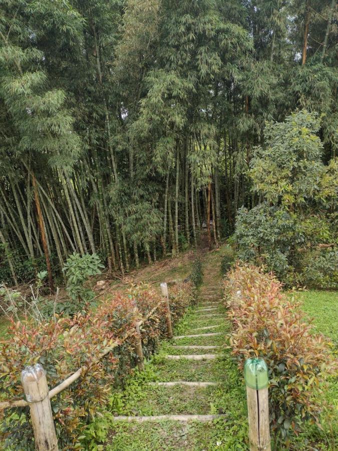 Finca Exclusividad Familiar O Grupo De Amigos Capacidad Hasta 12 Personas Calles En Placa Huella, Caminata Ecologica Alban  エクステリア 写真