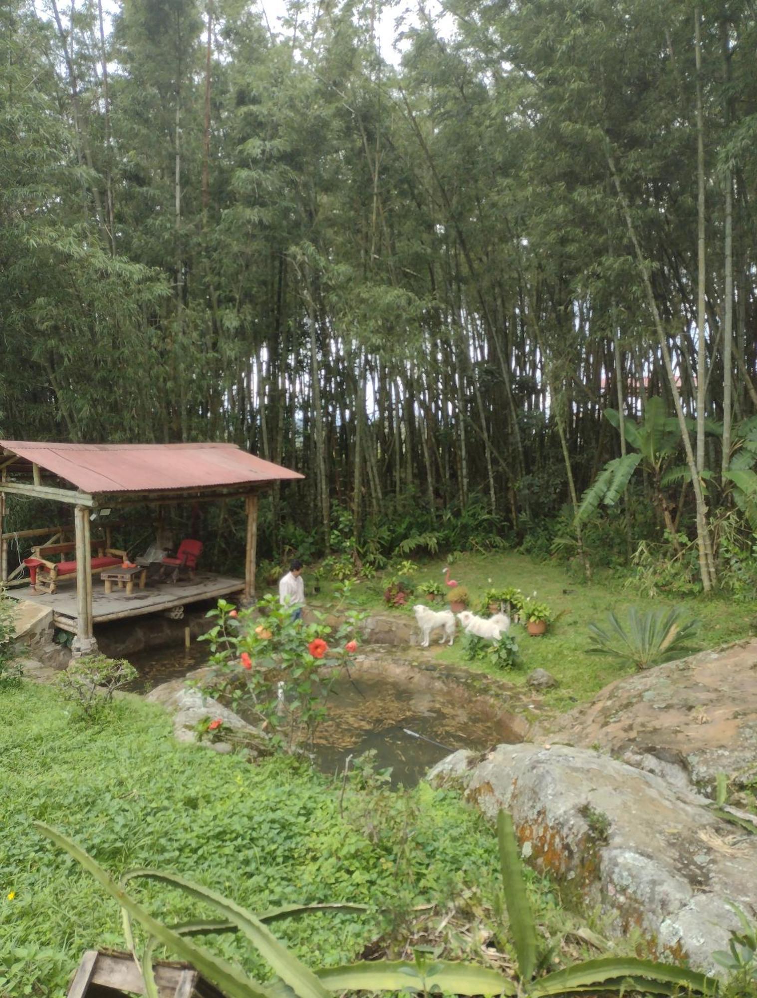 Finca Exclusividad Familiar O Grupo De Amigos Capacidad Hasta 12 Personas Calles En Placa Huella, Caminata Ecologica Alban  エクステリア 写真