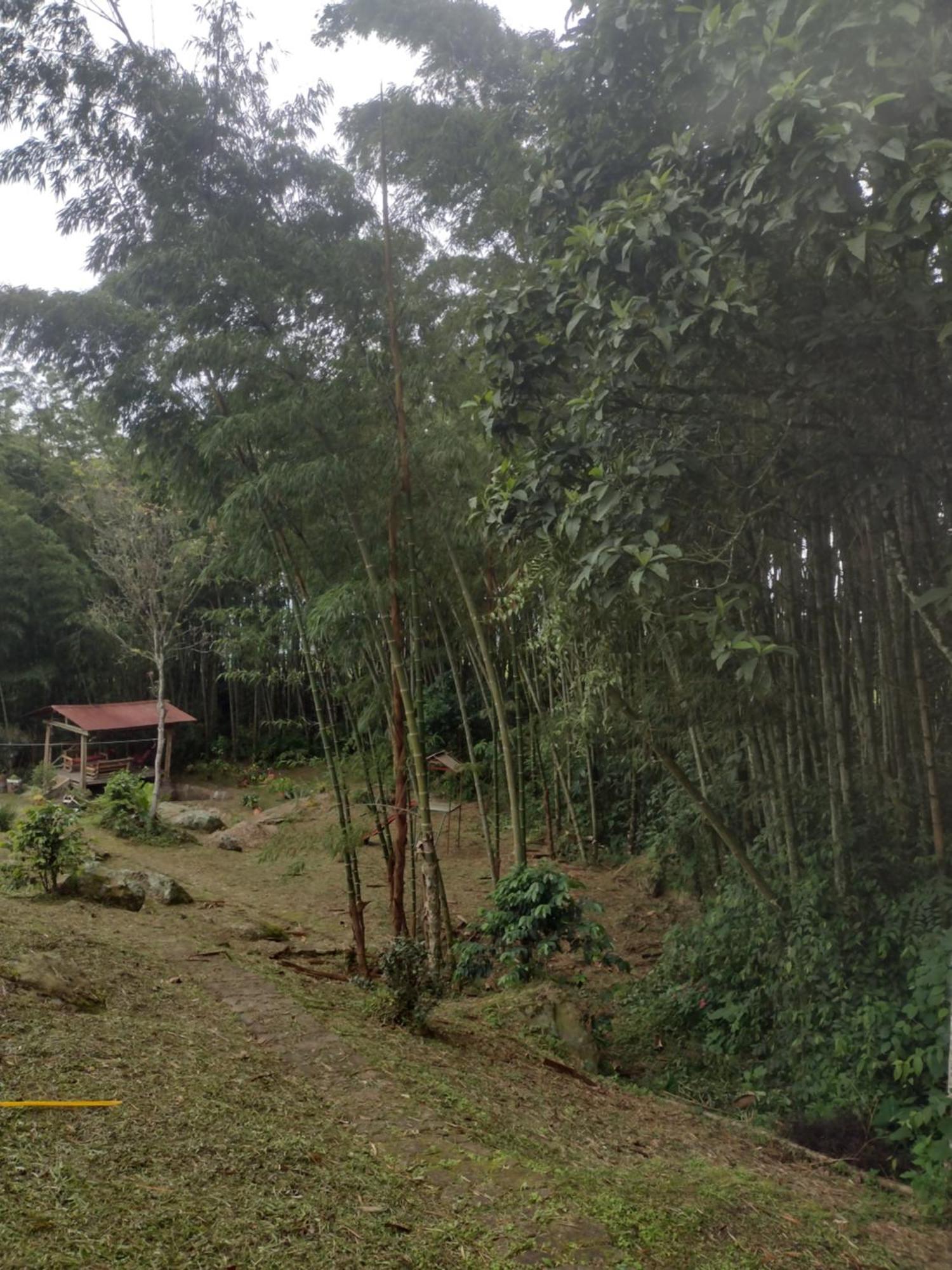 Finca Exclusividad Familiar O Grupo De Amigos Capacidad Hasta 12 Personas Calles En Placa Huella, Caminata Ecologica Alban  エクステリア 写真