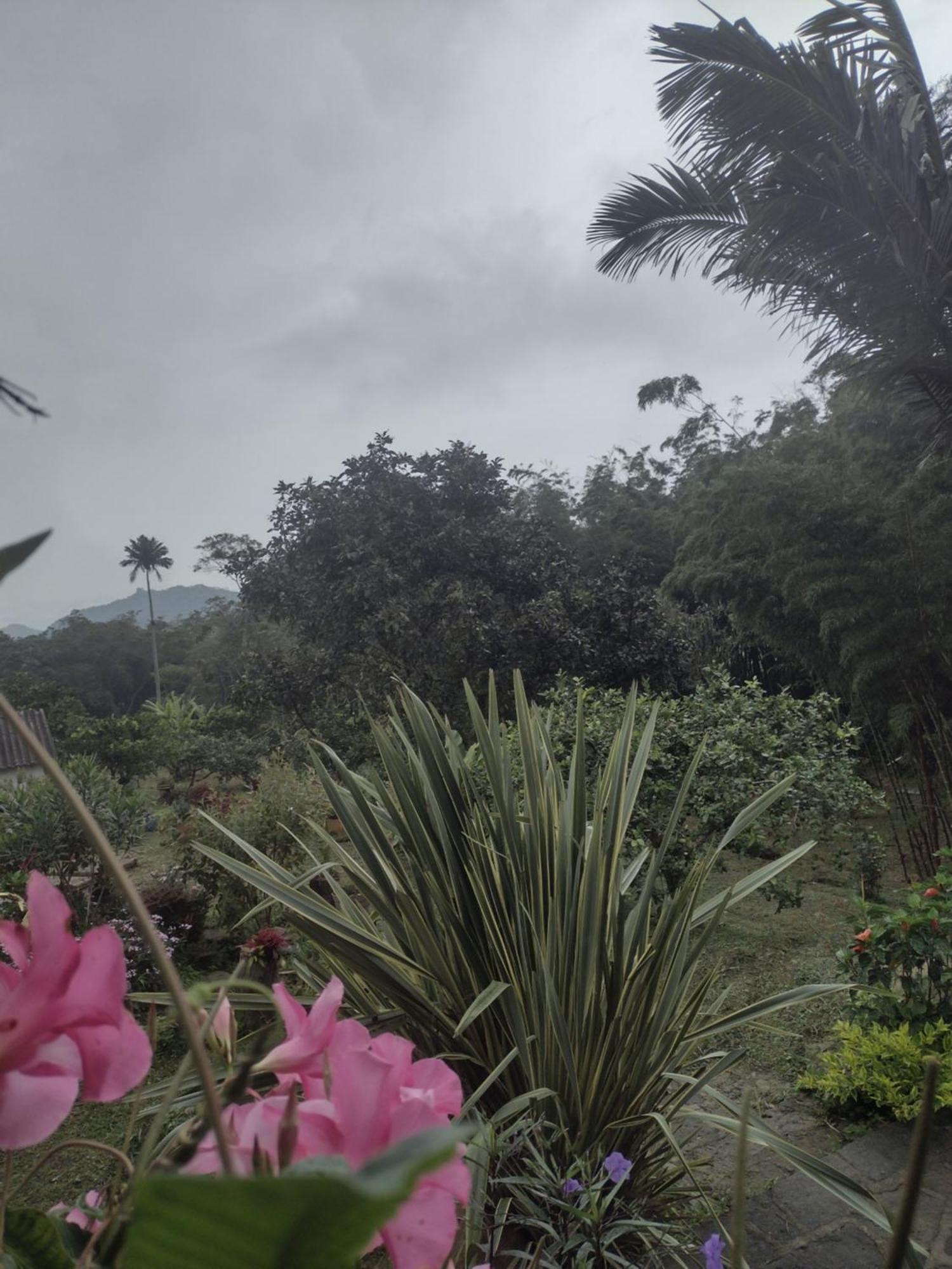 Finca Exclusividad Familiar O Grupo De Amigos Capacidad Hasta 12 Personas Calles En Placa Huella, Caminata Ecologica Alban  エクステリア 写真